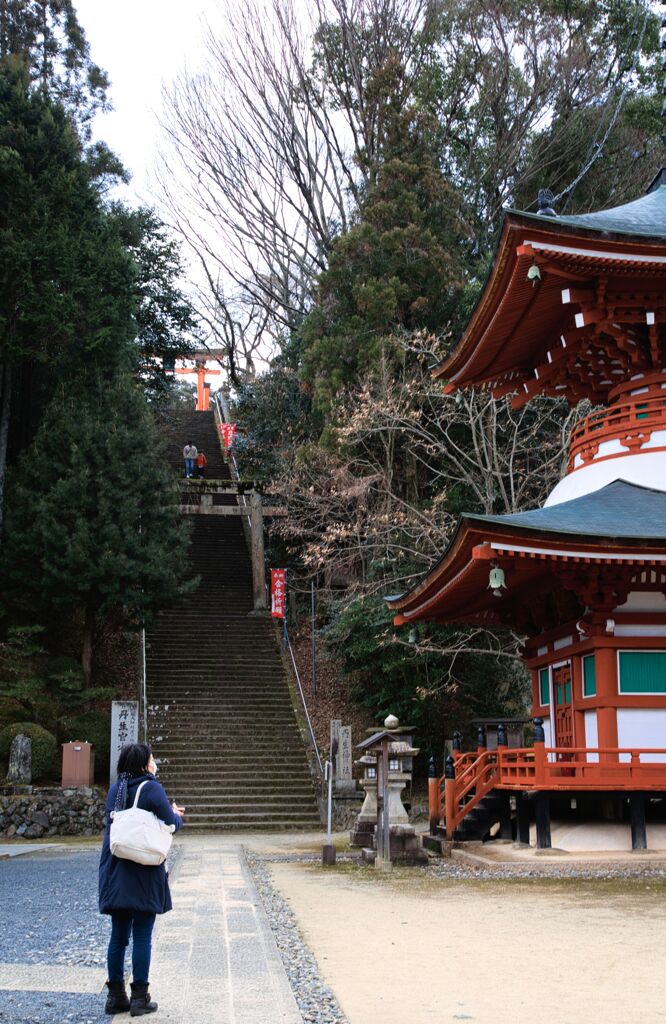 世界遺産の風景