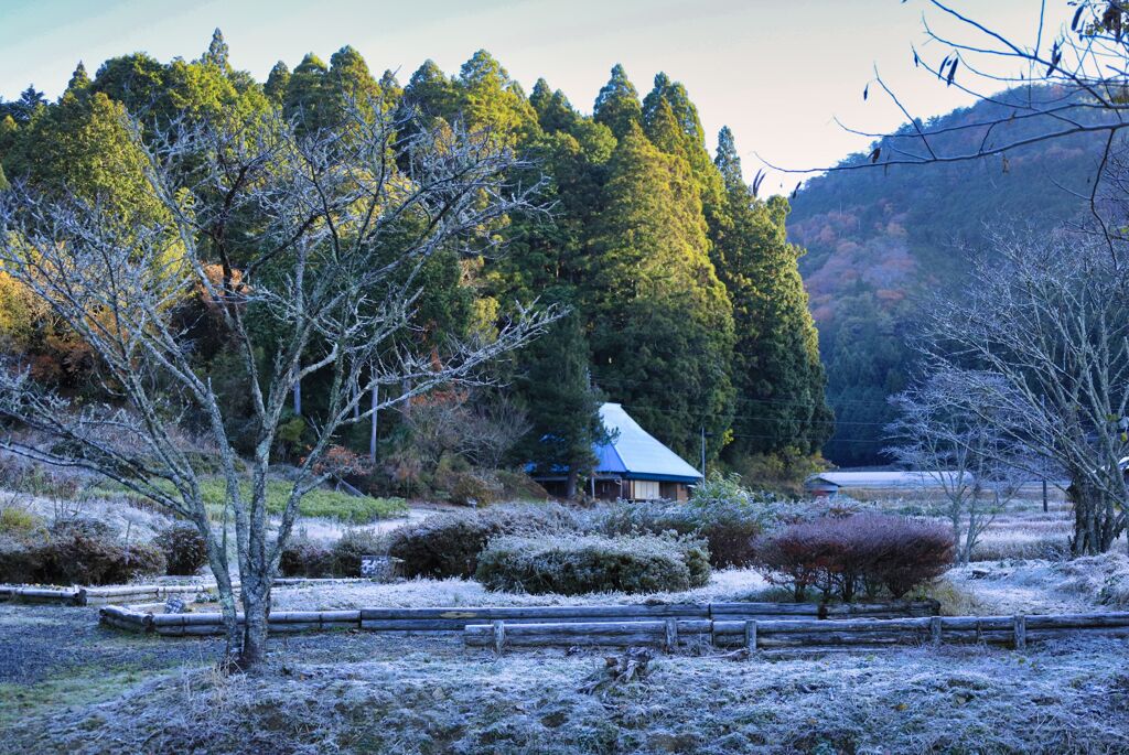 霜風景