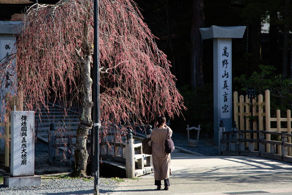 世界遺産巡り