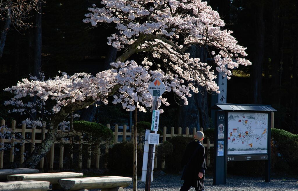 朝の癒し