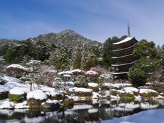 IMGP1955