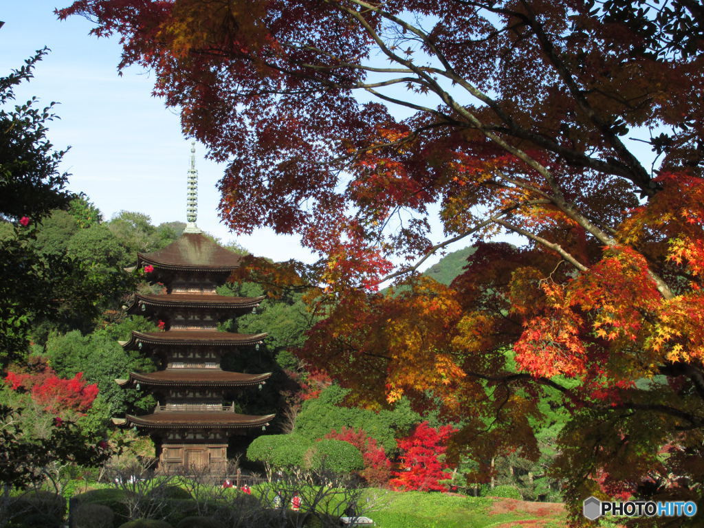 瑠璃光寺の五重塔