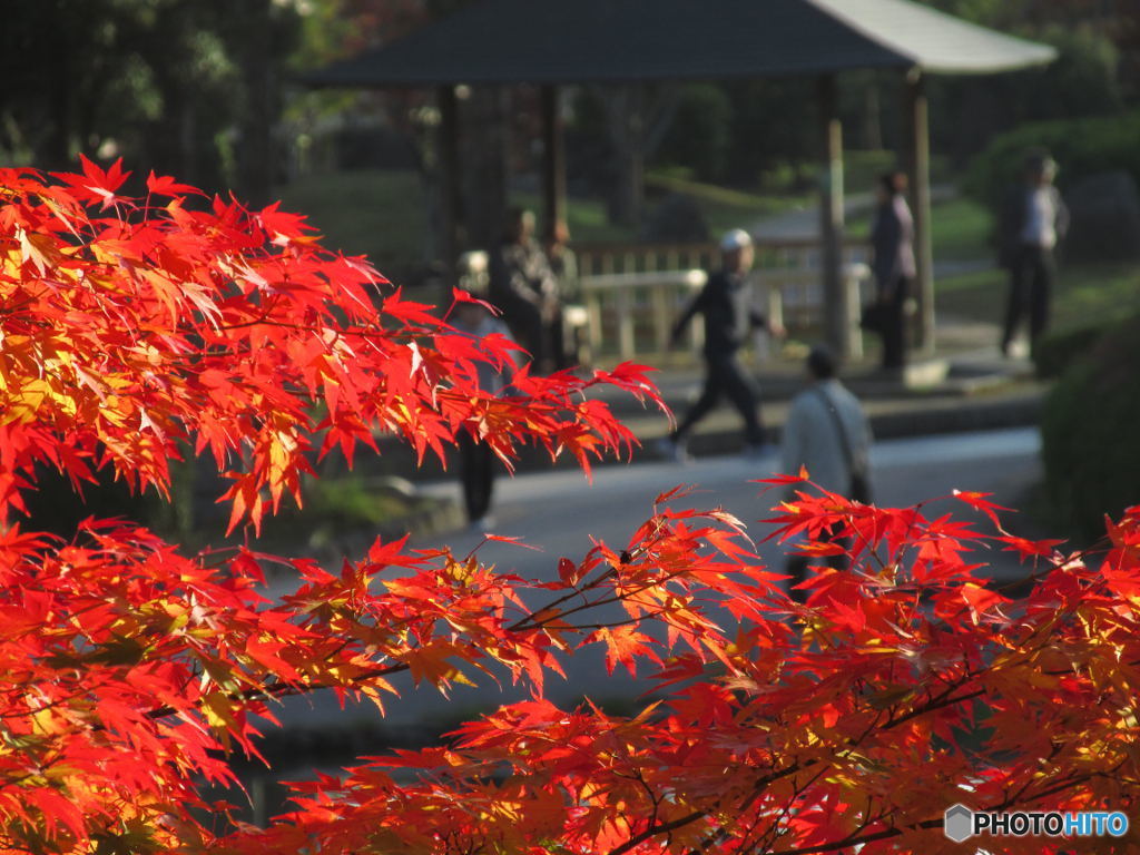 瑠璃光寺