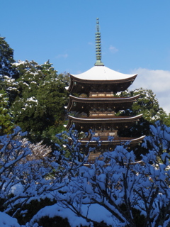 IMGP1529a