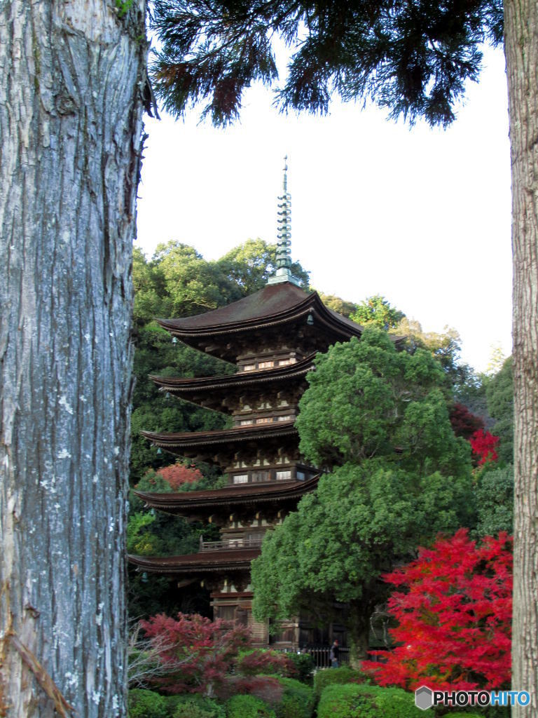 瑠璃光寺の五重塔