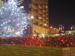 IMGP3140