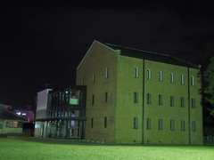 IMGP3133