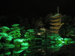 IMGP2009