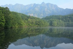 新緑の鏡池