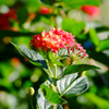 DSCF9404