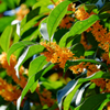 DSCF8786_7_8_icc