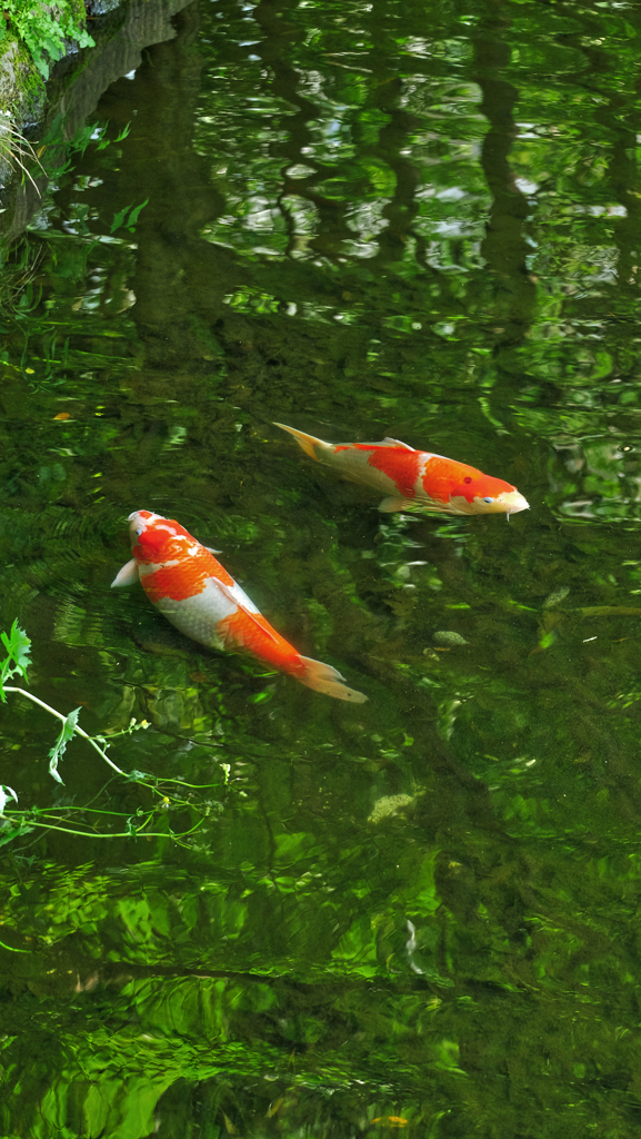 DSCF5409_pbb2c
