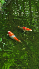 DSCF5409_pbb2c