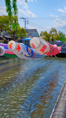 DSCF2528_ns