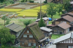 白川郷