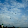 青空を車窓から