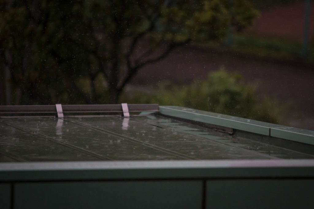 雨。
