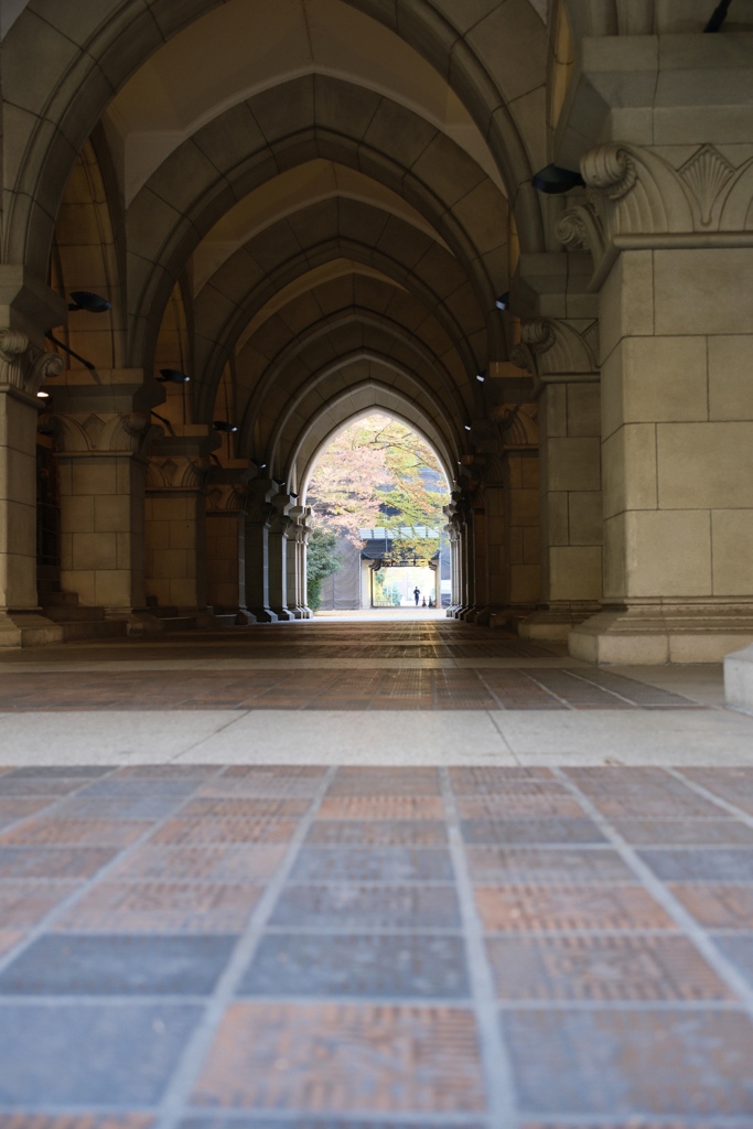 秋の東大　本郷キャンパス