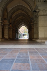 秋の東大　本郷キャンパス