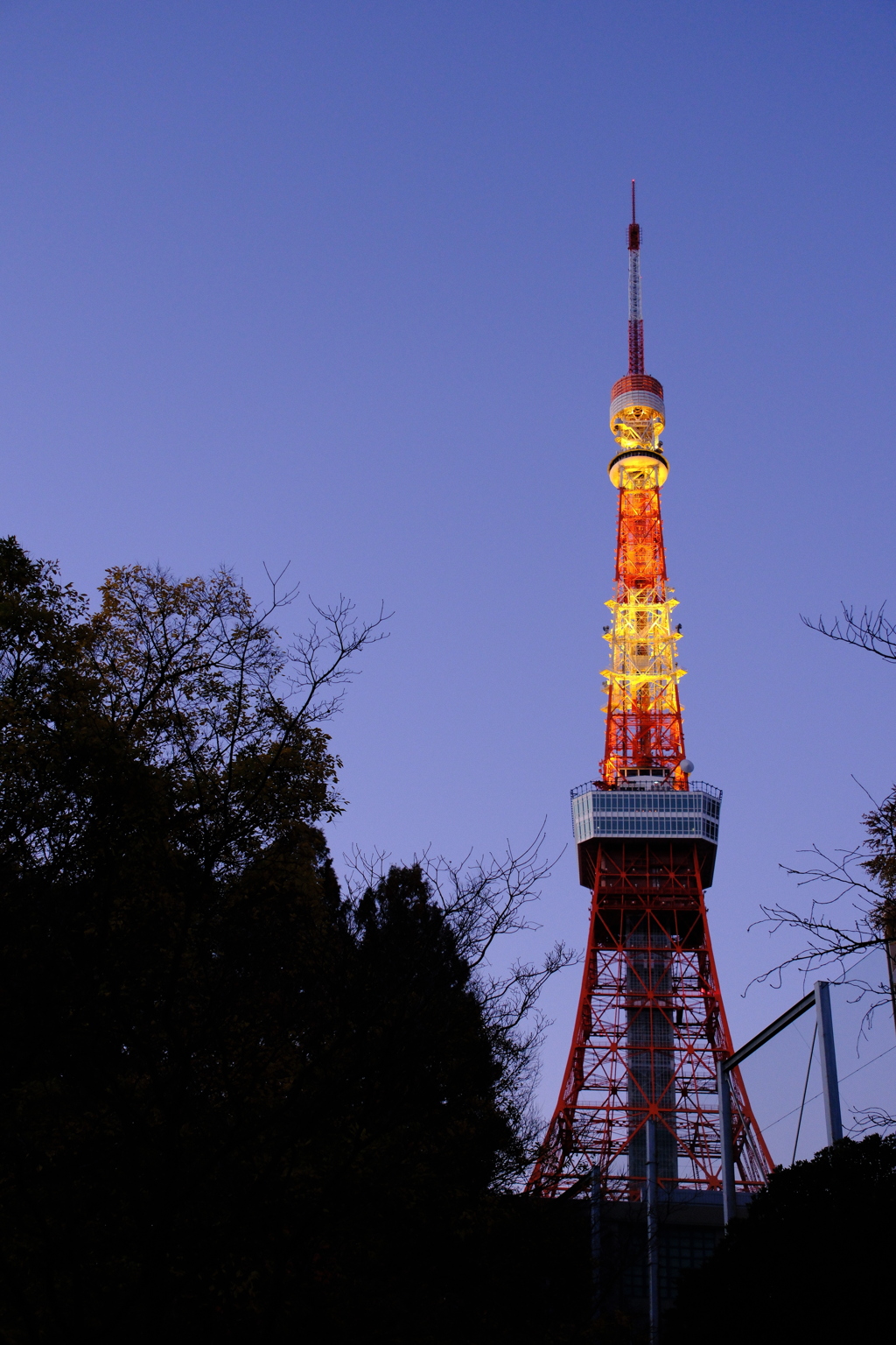夜明け前のタワー