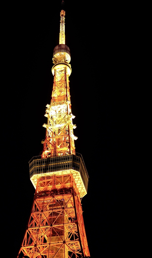 消灯前の東京タワー