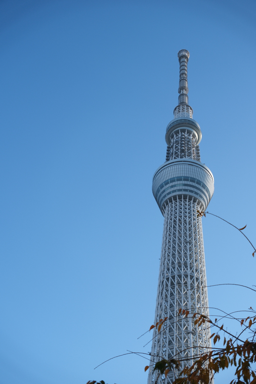 DSCF2652朝のスカイツリー