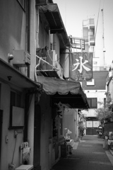残暑残る朝の裏路地