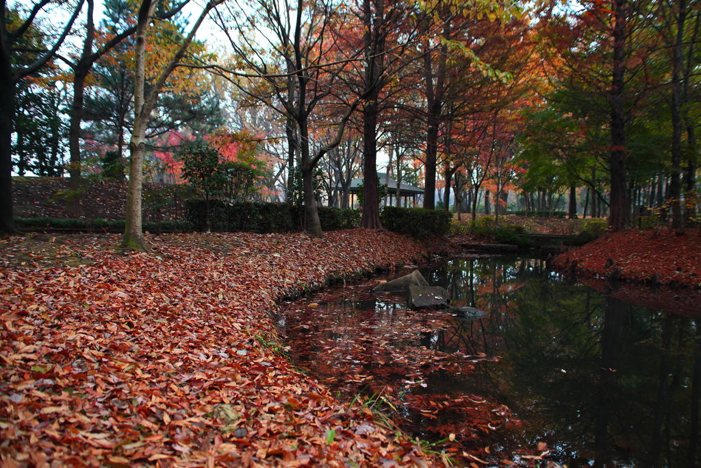 鶴ヶ島運動公園 