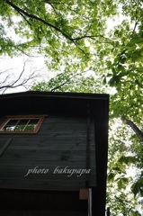 森の中のコテージ