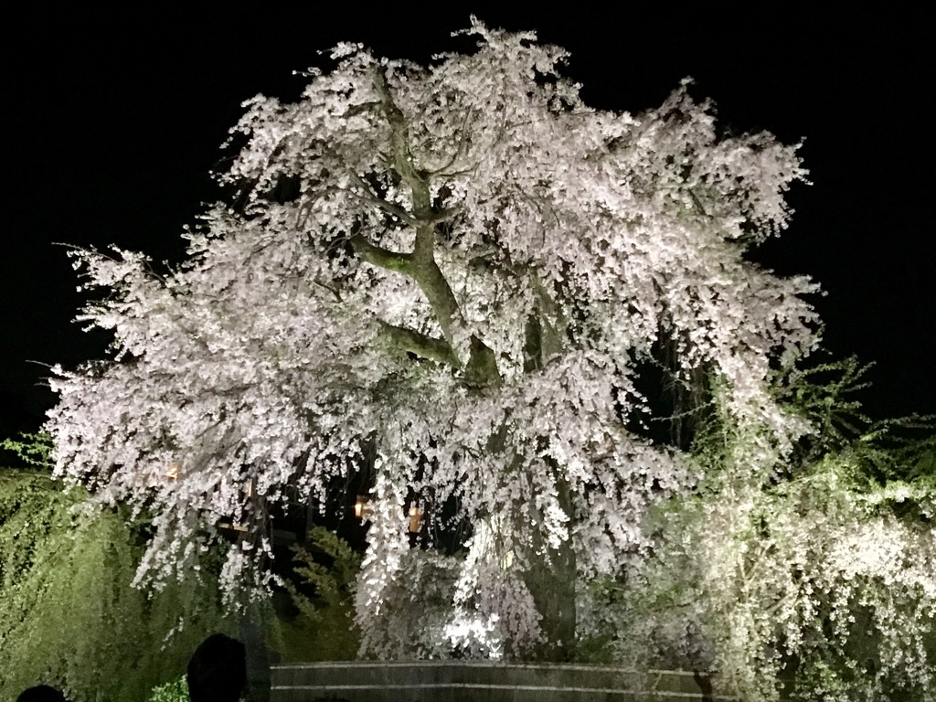 円山公園