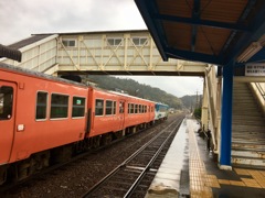 IMG_0954