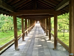 東福寺3