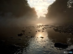 IMG_0555