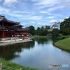 宇治平等院3