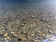 IMG_0556