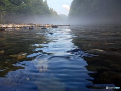 IMG_0551