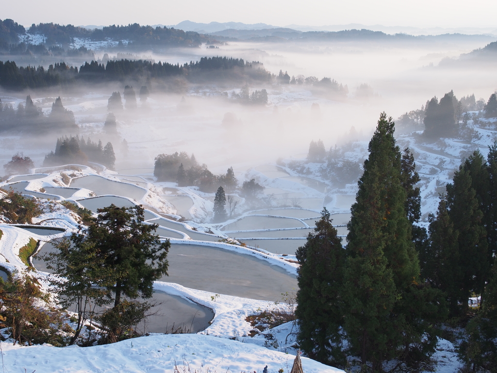 初冠雪