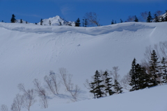 毎度の雪庇