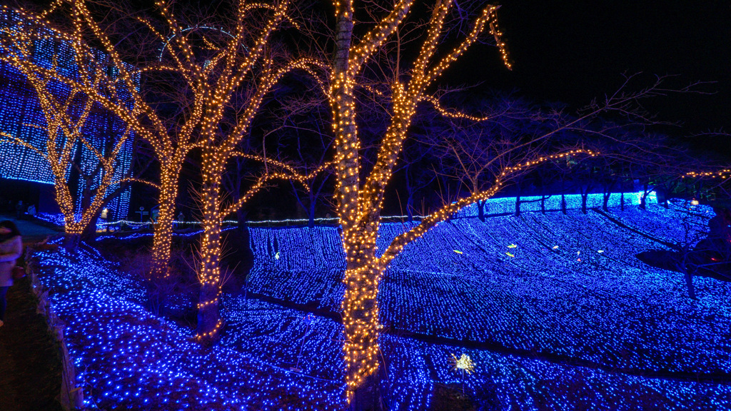 さがみ湖イルミリオン