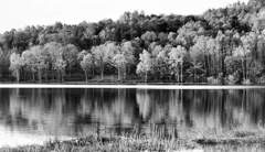 FB_IMG_1530194449795
