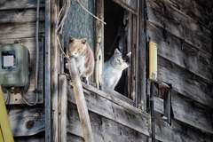 FB_IMG_1530194503884