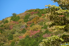 山のパレット