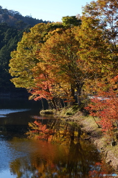 湖畔の紅葉