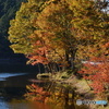 湖畔の紅葉