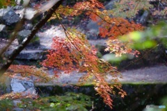 岩屋堂にて
