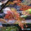 岩屋堂にて