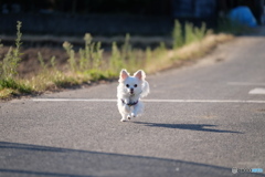 待ってぇ～