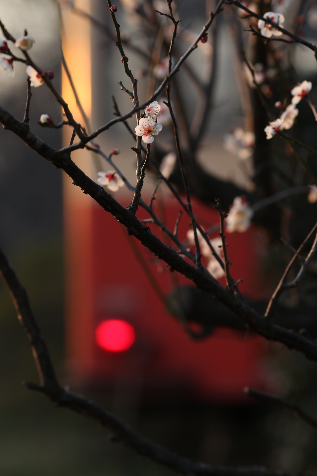 小湊鐡道6