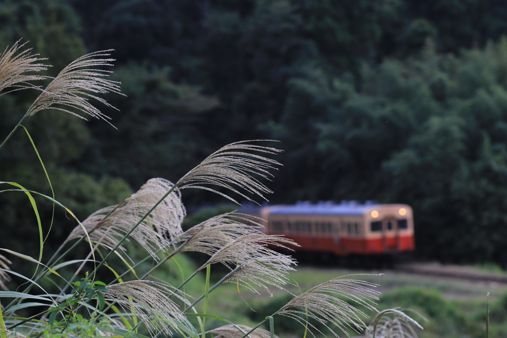 小湊鉄道　１
