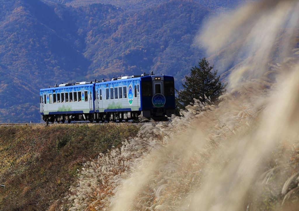 秋の高原列車